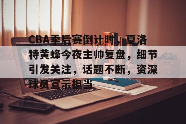 开云中国App-CBA季后赛倒计时，夏洛特黄蜂今夜主帅复盘，细节引发关注，话题不断，资深球员宣示担当的简单介绍